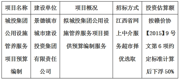 城投集團公用設(shè)施管養(yǎng)服務(wù)項目預算編制計劃公告
